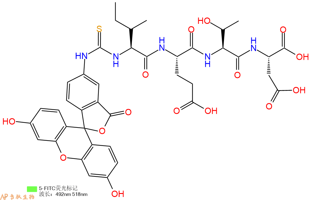 专肽生物产品5FITC-Ile-Glu-Thr-Asp-COOH