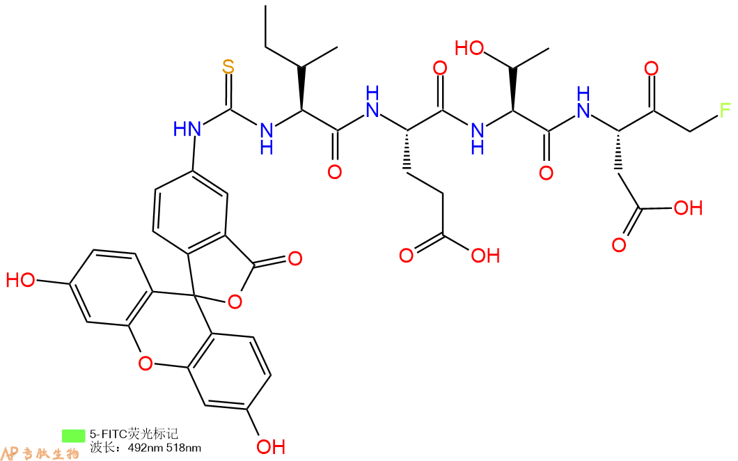 专肽生物产品5FITC-Ile-Glu-Thr-Asp-FMK