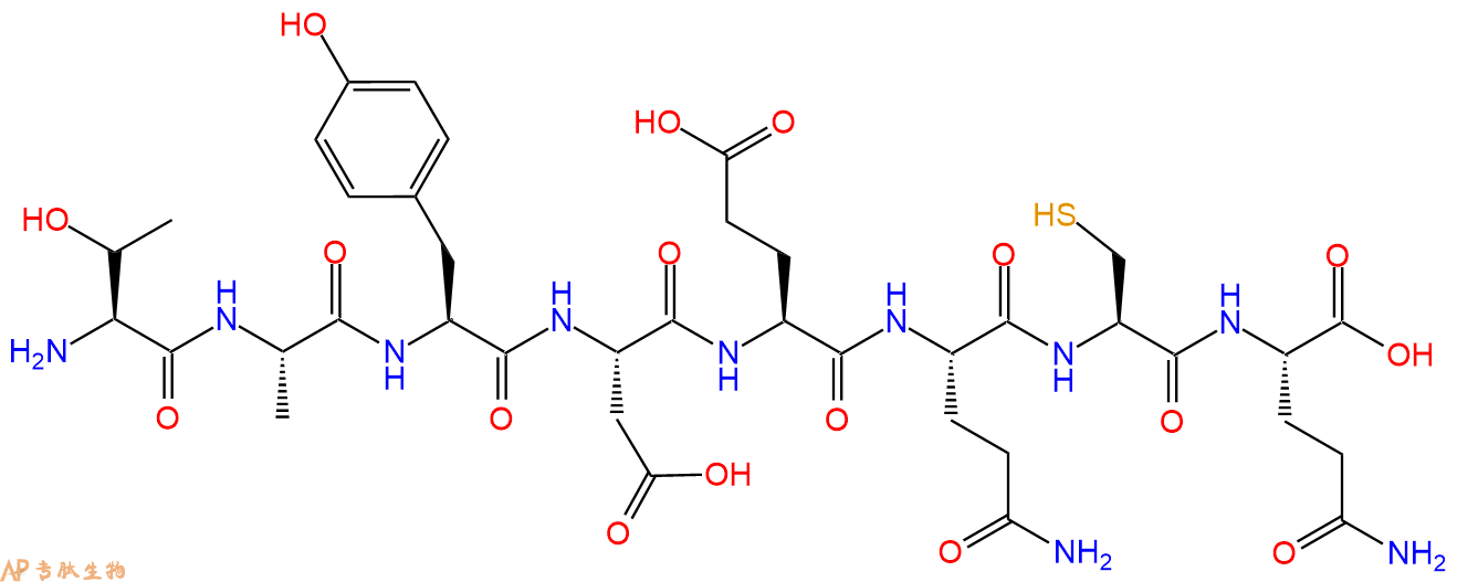多肽TAYDEQCQ的参数和合成路线|三字母为Thr-Ala-Tyr-Asp-Glu-Gln-Cys