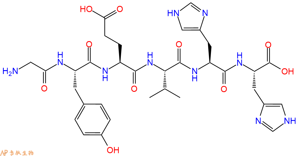 多肽GYEVHH的参数和合成路线|三字母为Gly-Tyr-Glu-Val-His-His|专肽生物产