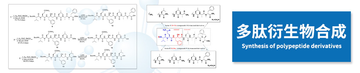 多肽-药物分子偶联