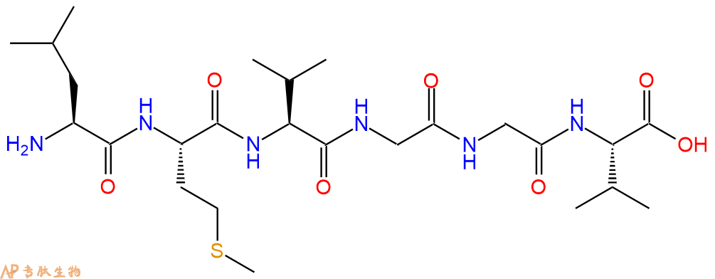 多肽LMVGGV的参数和合成路线|三字母为Leu-Met-Val-Gly-Gly-Val|专肽生物产