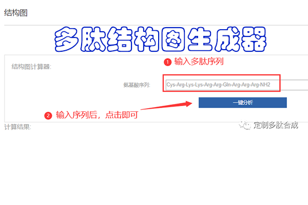多肽结构图生成器