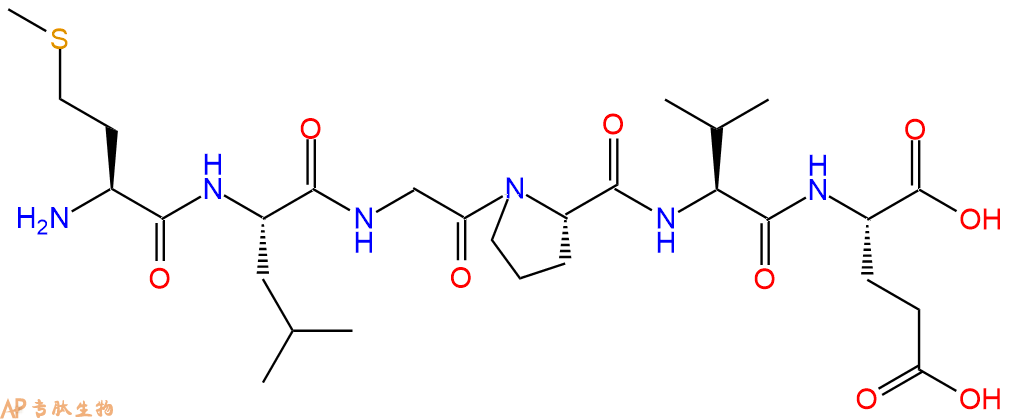 多肽MLGPVE的参数和合成路线|三字母为Met-Leu-Gly-Pro-Val-Glu|专肽生物产