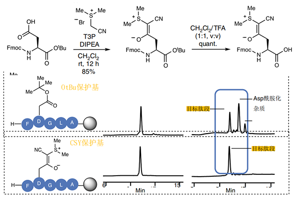使用氰基亚硫酰基(CYS)作为羧酸保护基防止肽合成过程中的DG重排和天冬酰胺的形成