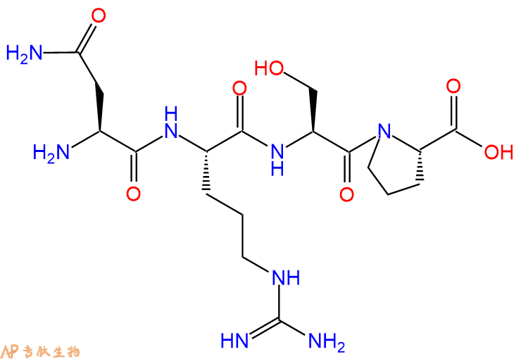 多肽NRSP的参数和合成路线|三字母为Asn-Arg-Ser-Pro|专肽生物产品-定制多肽合成服务