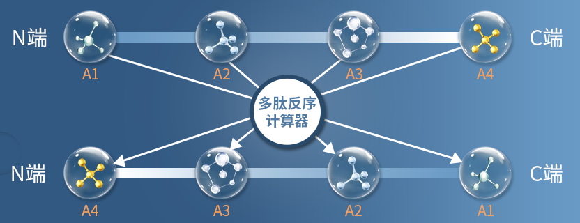 如何将多肽序列反转过来？推荐使用多肽反序计算器|专肽生物-多肽计算器