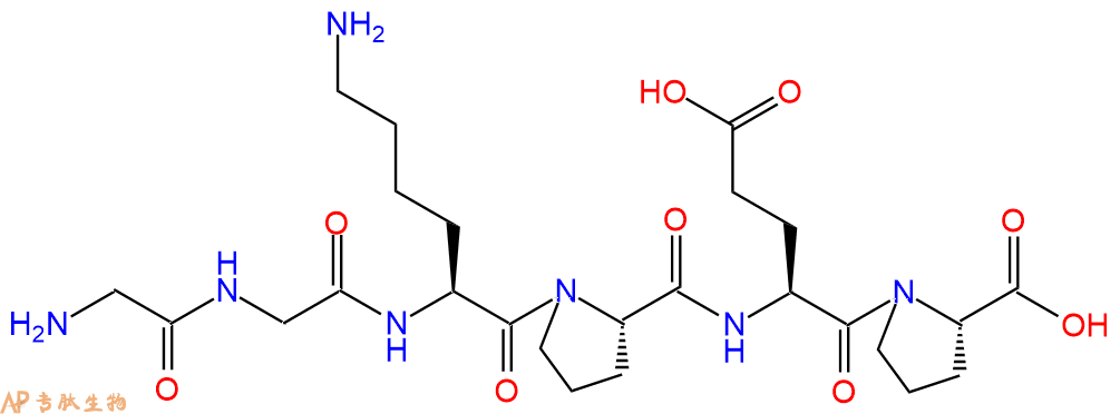 多肽GGKPEP的参数和合成路线|三字母为Gly-Gly-Lys-Pro-Glu-Pro|专肽生物产
