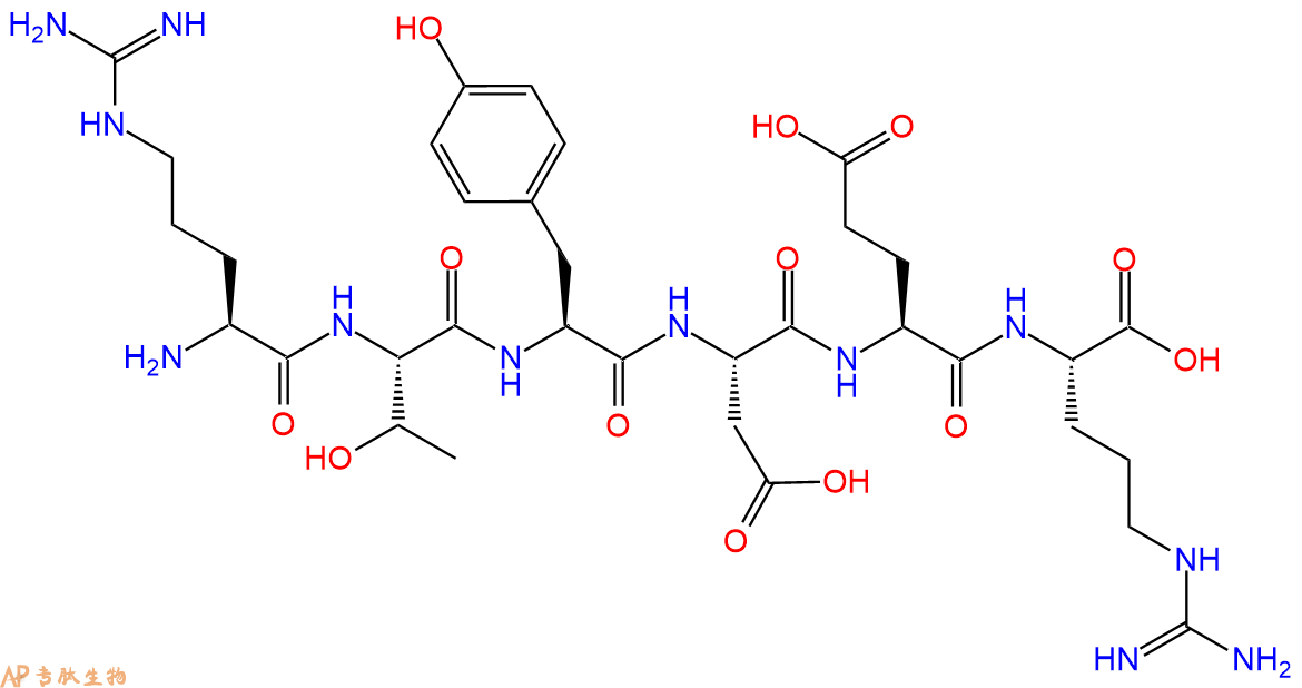 多肽RTYDER的参数和合成路线|三字母为Arg-Thr-Tyr-Asp-Glu-Arg|专肽生物产