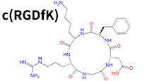 RGD环肽c(RGDfK)
