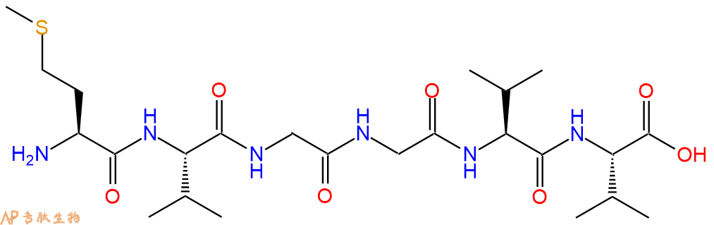 多肽MVGGVV的参数和合成路线|三字母为Met-Val-Gly-Gly-Val-Val|专肽生物产