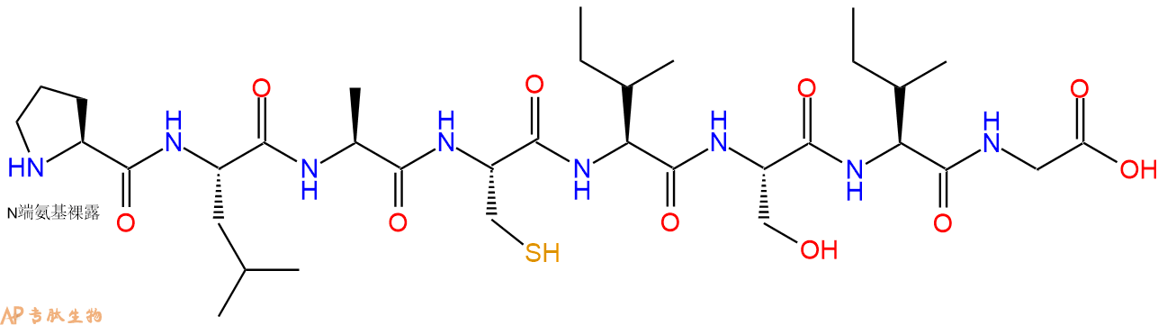 多肽PLACISIG的参数和合成路线|三字母为Pro-Leu-Ala-Cys-Ile-Ser-Ile