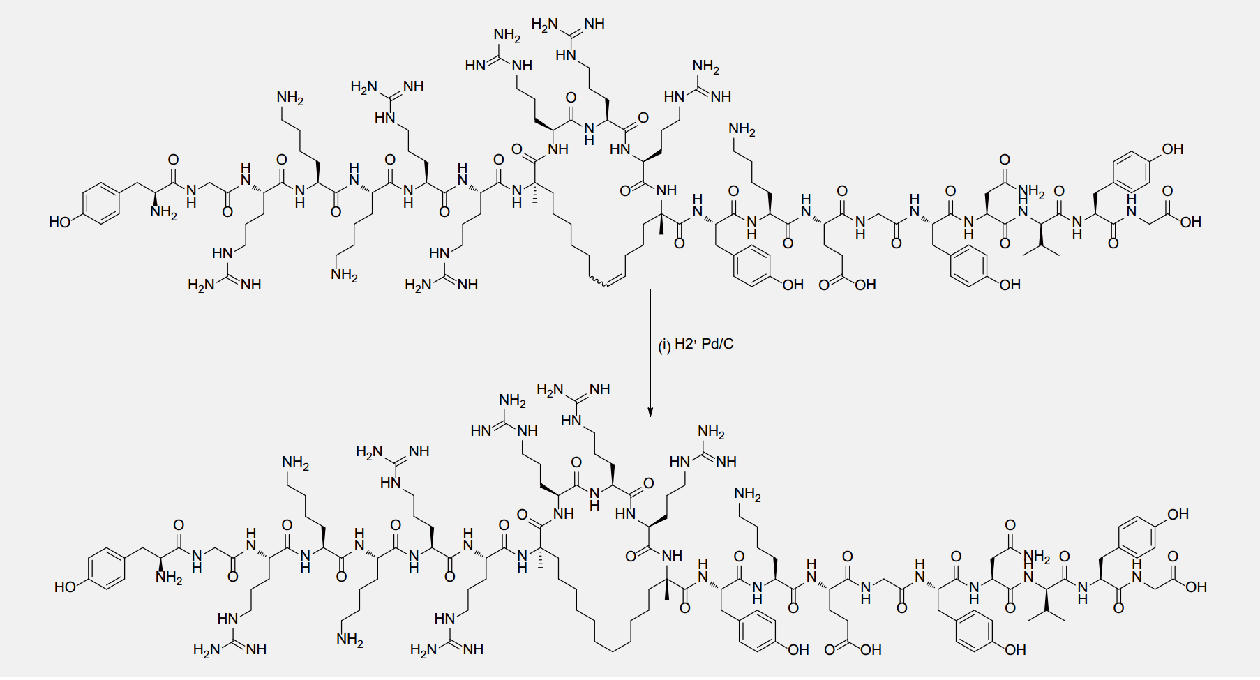 订书肽,R8S5多肽(专肽生物www.allpeptide.com)