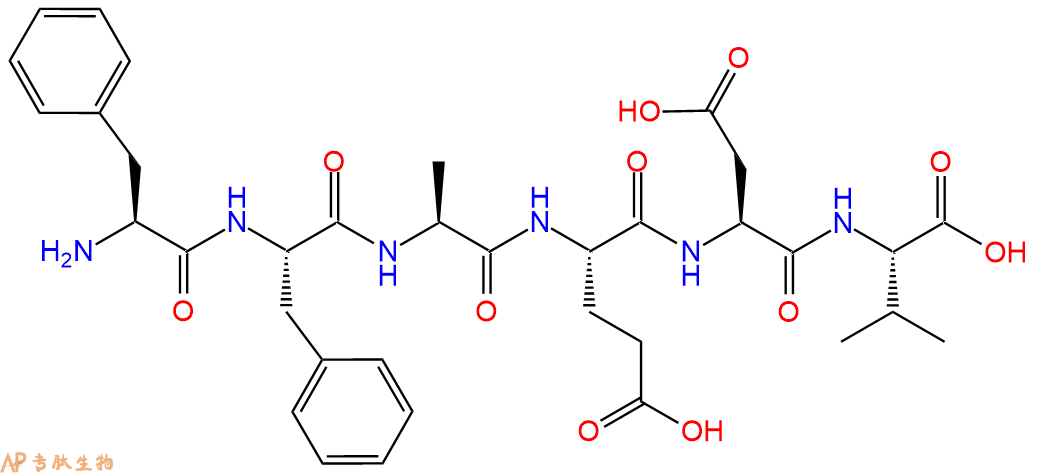 多肽FFAEDV的参数和合成路线|三字母为Phe-Phe-Ala-Glu-Asp-Val|专肽生物产