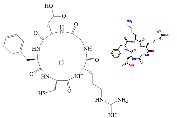 环状多肽的合成