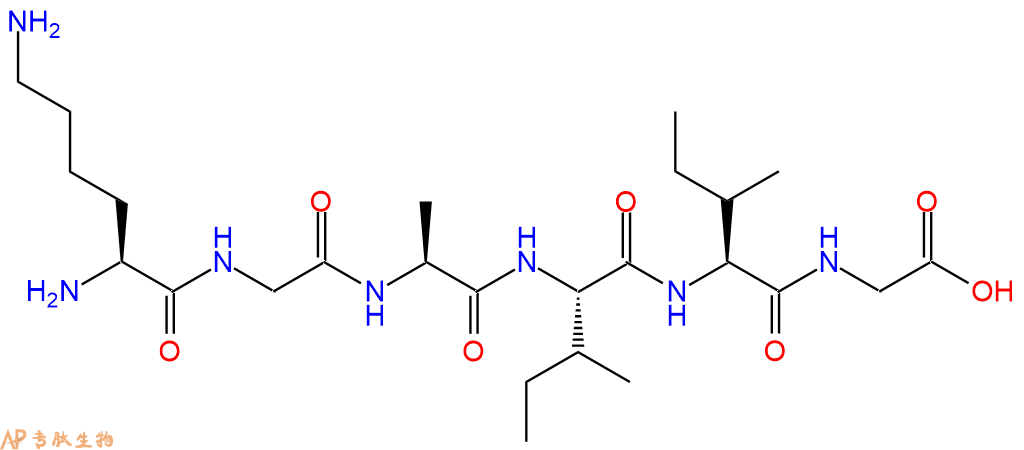 多肽KGAIIG的参数和合成路线|三字母为Lys-Gly-Ala-Ile-Ile-Gly|专肽生物产