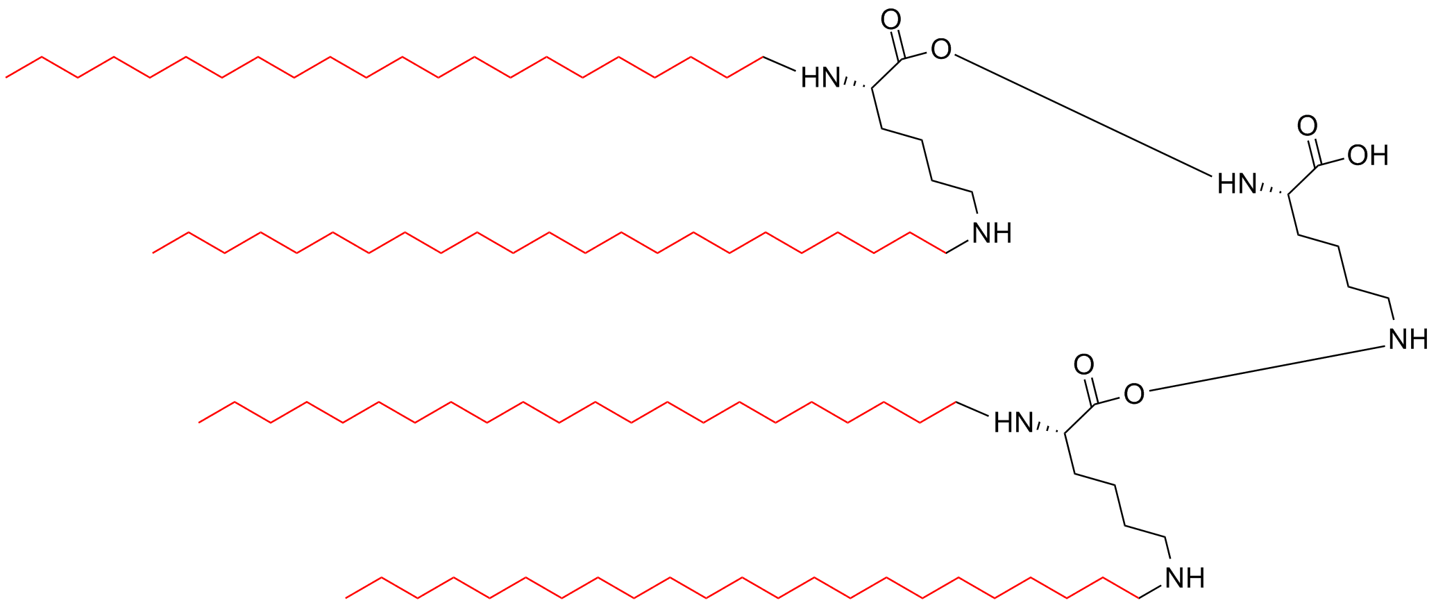 四分支多聚抗原肽(专肽生物www.allpeptide.com)