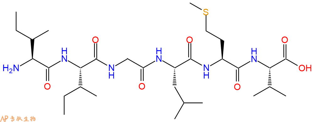 多肽IIGLMV的参数和合成路线|三字母为Ile-Ile-Gly-Leu-Met-Val|专肽生物产