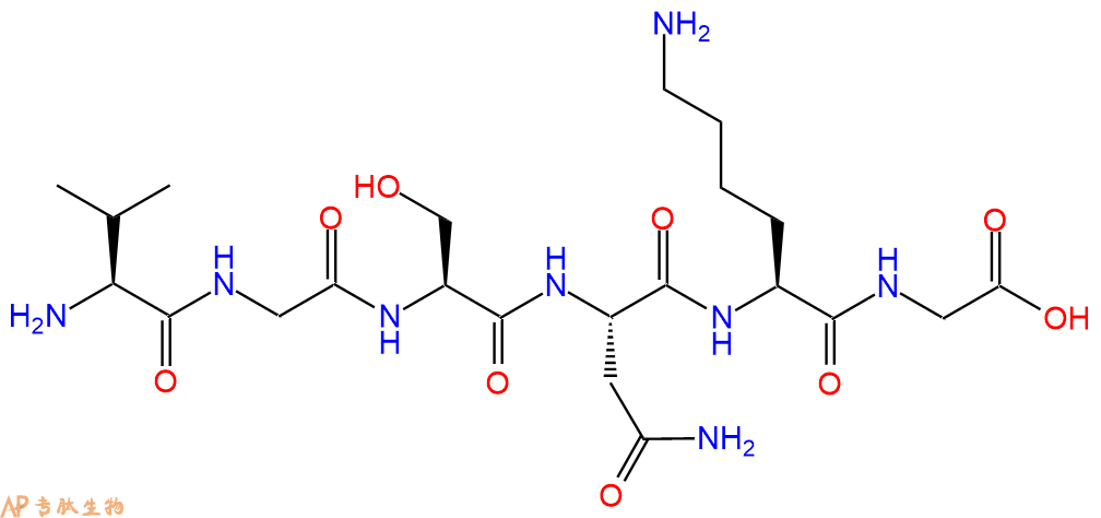 多肽VGSNKG的参数和合成路线|三字母为Val-Gly-Ser-Asn-Lys-Gly|专肽生物产