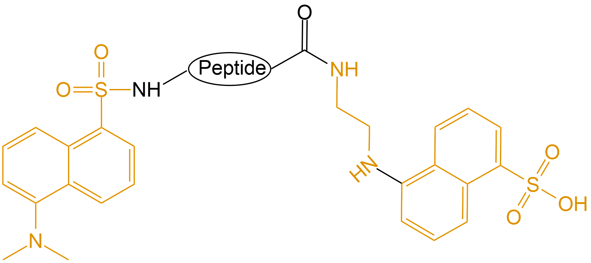 Dansyl和EDANS双标记(专肽生物www.allpeptide.com)