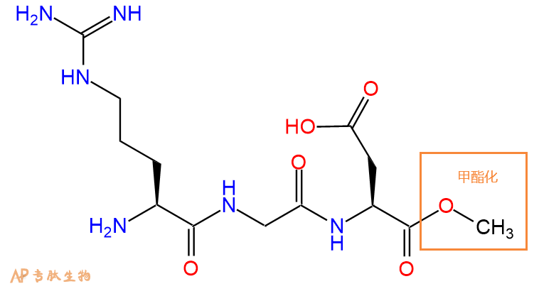 多肽C端的酯化修饰（甲酯化OMe\乙酯化OEt\苄酯化OBzl）|专肽生物多肽计算器