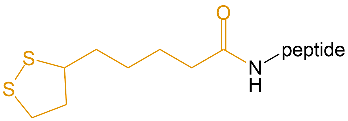 多肽硫辛酸修饰(专肽生物www.allpeptide.com)