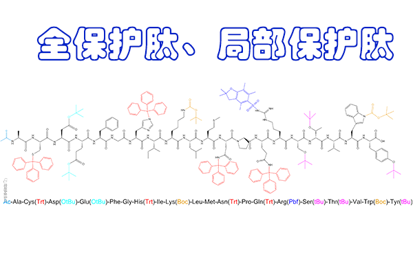 了解全保护肽和局部保护肽