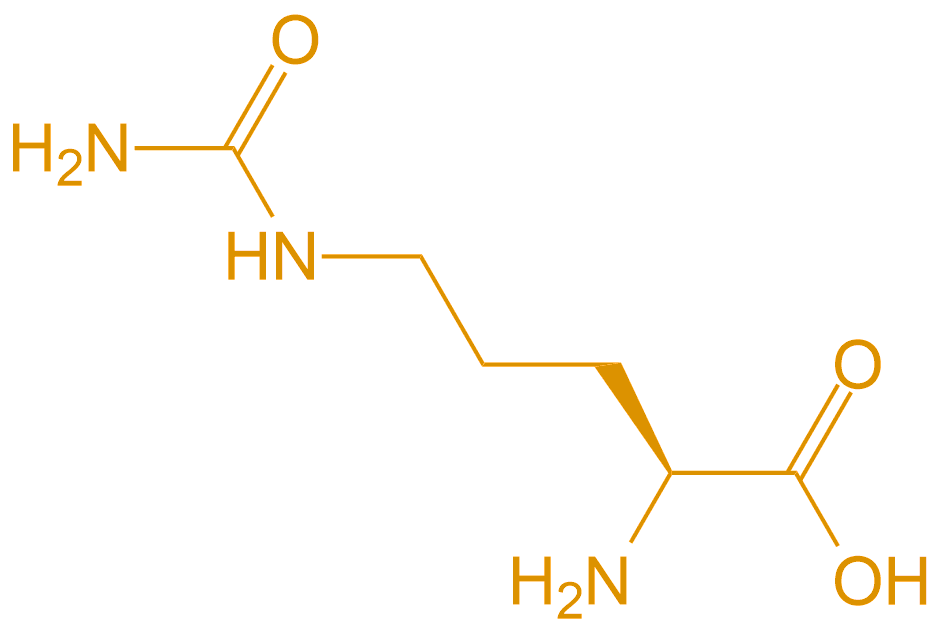 瓜氨酸Cit(专肽生物www.allpeptide.com)