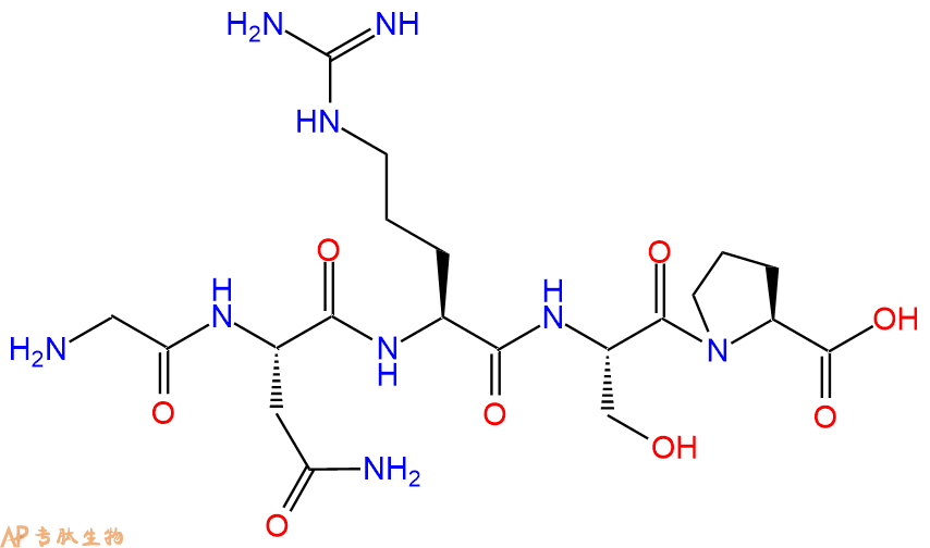 多肽GNRSP的参数和合成路线|三字母为Gly-Asn-Arg-Ser-Pro|专肽生物产品-定制多