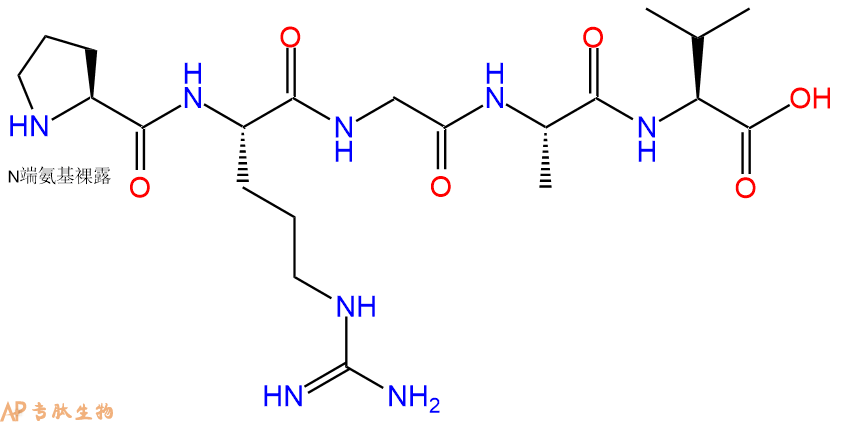 多肽PRGAV的参数和合成路线|三字母为Pro-Arg-Gly-Ala-Val|专肽生物产品-定制多