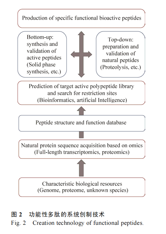 天然活性多肽的发掘策略和生产技术