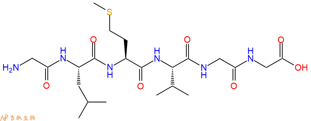 多肽GLMVGG的参数和合成路线|三字母为Gly-Leu-Met-Val-Gly-Gly|专肽生物产