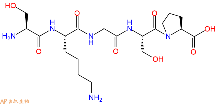 多肽SKGSP的参数和合成路线|三字母为Ser-Lys-Gly-Ser-Pro|专肽生物产品-定制多