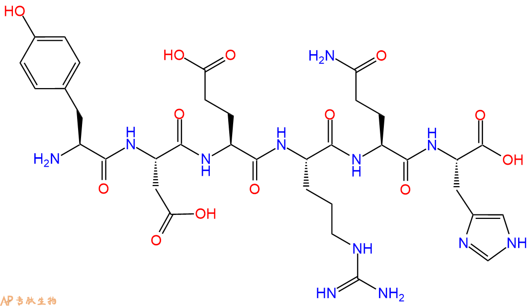 多肽YDERQH的参数和合成路线|三字母为Tyr-Asp-Glu-Arg-Gln-His|专肽生物产