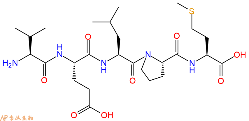 多肽VELPM的参数和合成路线|三字母为Val-Glu-Leu-Pro-Met|专肽生物产品-定制多