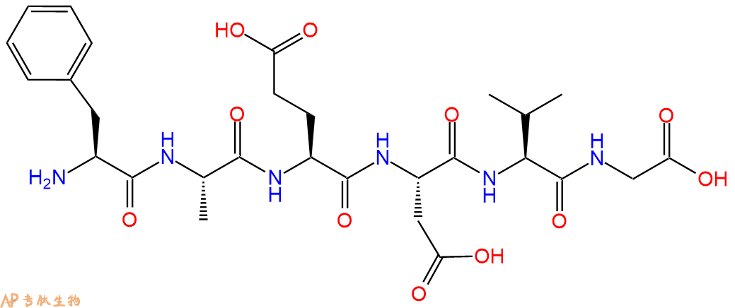 多肽FAEDVG的参数和合成路线|三字母为Phe-Ala-Glu-Asp-Val-Gly|专肽生物产