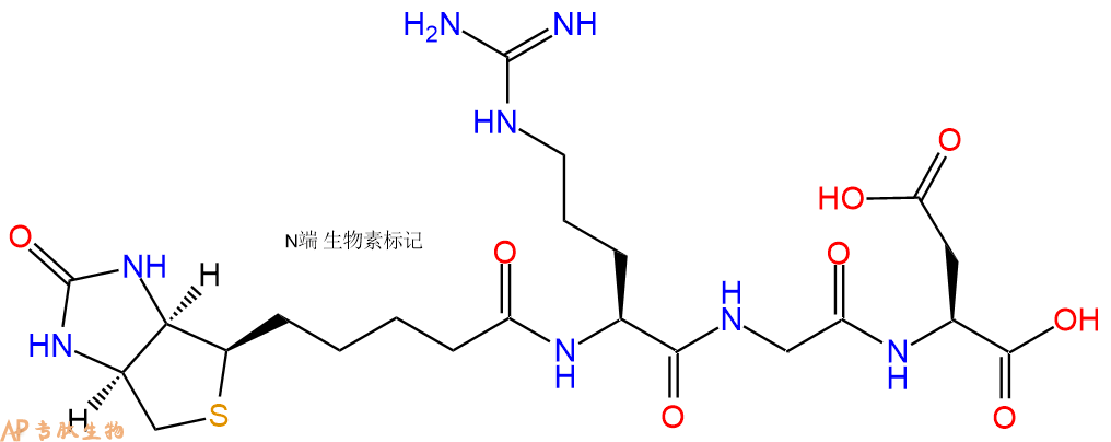 生物素标记肽的几种结构形式汇总|多肽结构计算器