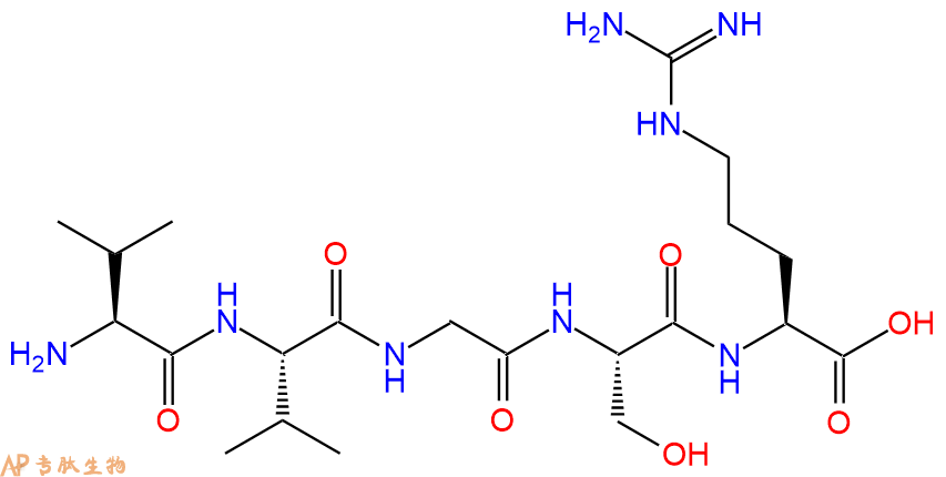多肽VVGSR的参数和合成路线|三字母为Val-Val-Gly-Ser-Arg|专肽生物产品-定制多