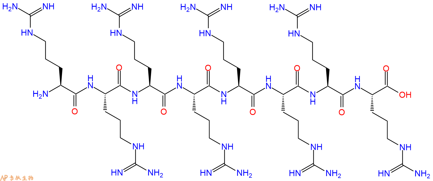 多肽RRRRRRRR的参数和合成路线|三字母为Arg-Arg-Arg-Arg-Arg-Arg-Arg
