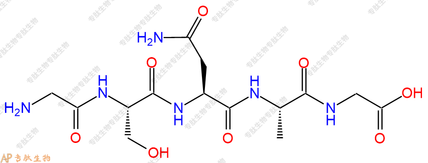 专肽生物产品五肽Gly-Ser-Asn-Ala-Gly137428-63-8