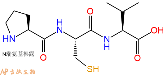 专肽生物产品三肽Pro-Cys-Val