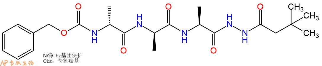专肽生物产品三肽Cbz-DAla-DAla-Ala-NH-NHBoc35766-45-1