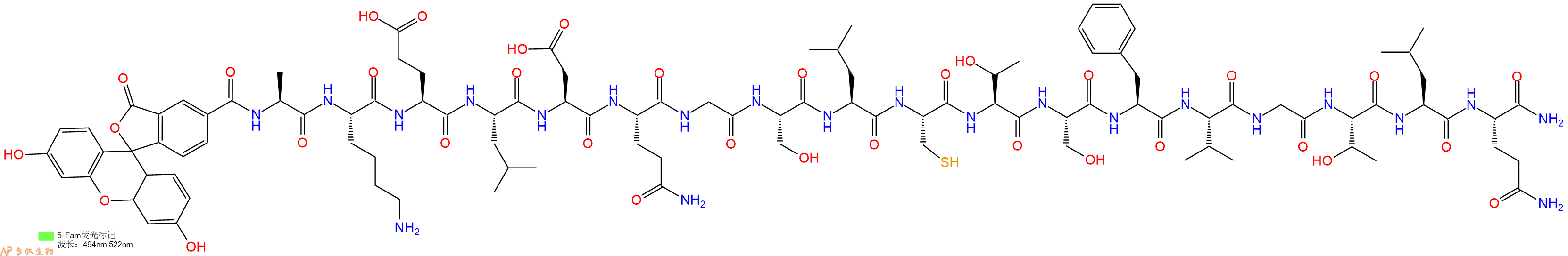 专肽生物产品荧光标记肽5-FAM-AKELDQGSLCTSFVGTLQ-NH2