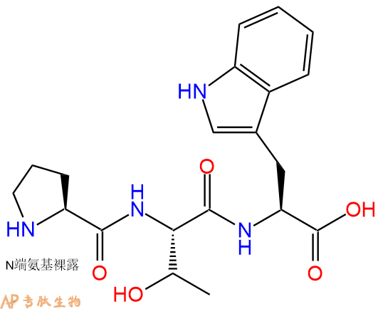 专肽生物产品三肽Pro-Thr-Trp