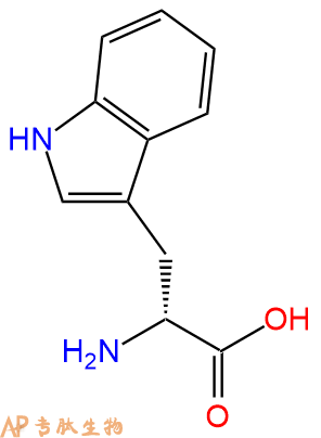 专肽生物产品　D-色氨酸153-94-6