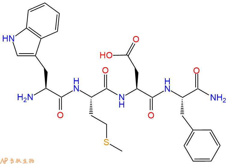 专肽生物产品胃泌素Gastrin Tetrapeptide、Gastrin (14-17) (human)1947-37-1/35144-91-3