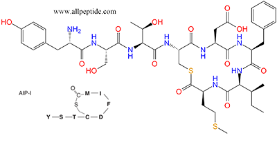 专肽生物产品AIP-I、Tyr-Ser-Thr-(Cys-Asp-Phe-Ile-Met)Thioester