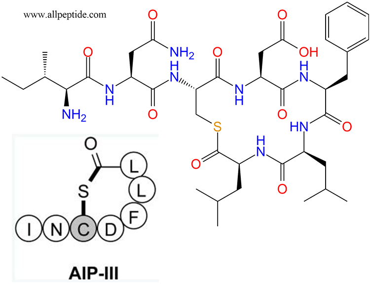 专肽生物产品AIP-III