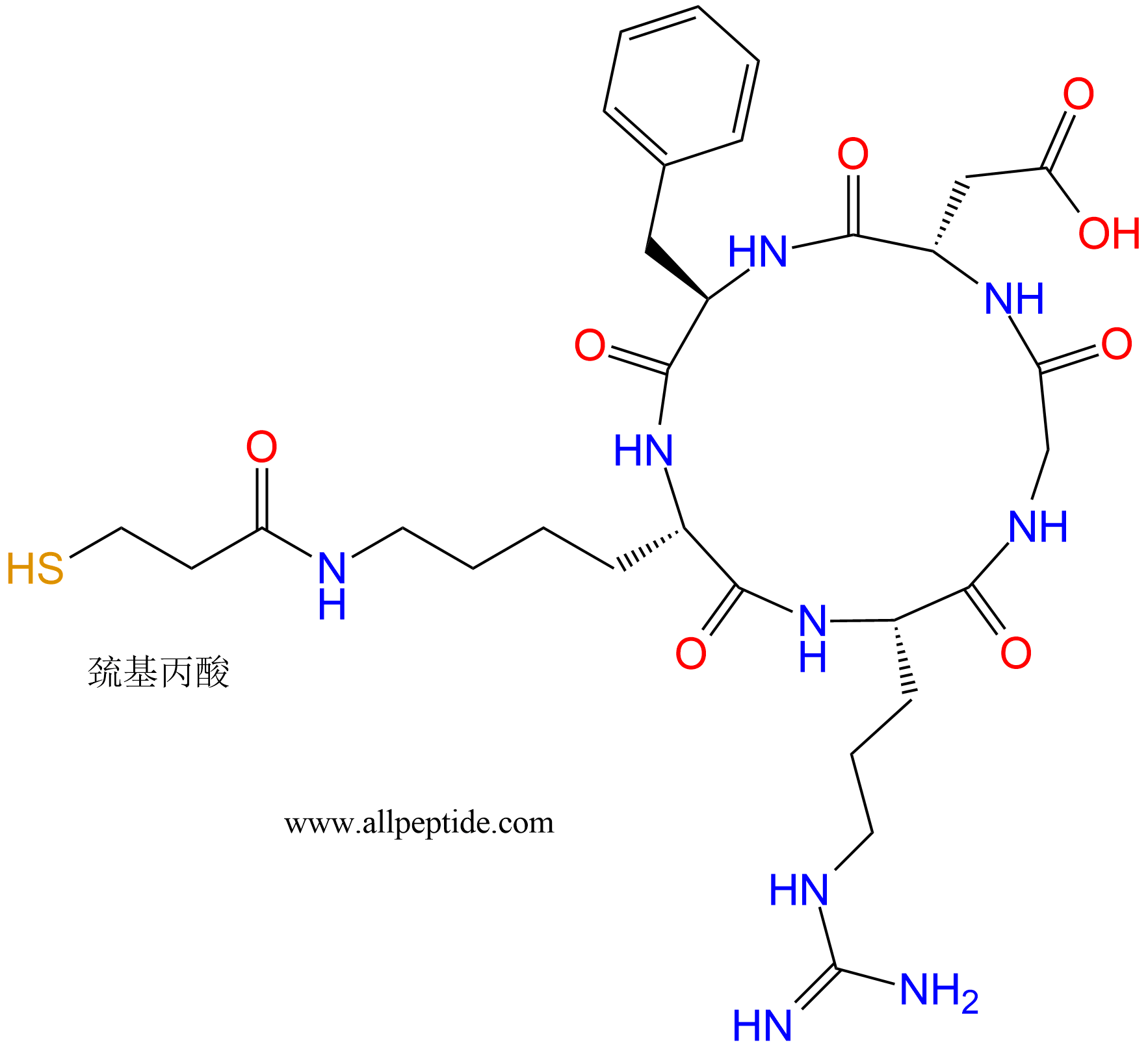 专肽生物产品c(RGD)环肽：cyclo{RGDfK(Mpa)}、环状多肽c(RGDfK)-巯基
