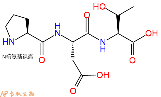 专肽生物产品三肽Pro-Asp-Thr